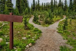 Choisir Son Chemin Psy Thérapie 41