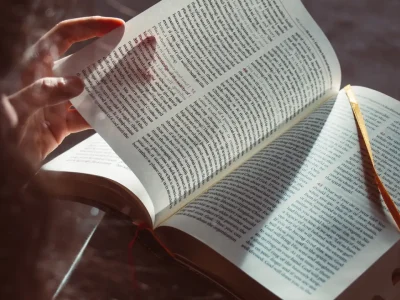 Thérapie Montrichard 41